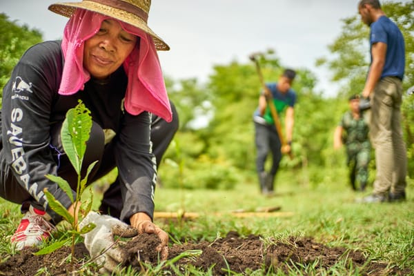 A woman in a straw hat and pink headscarf squats to plant a small sapling.